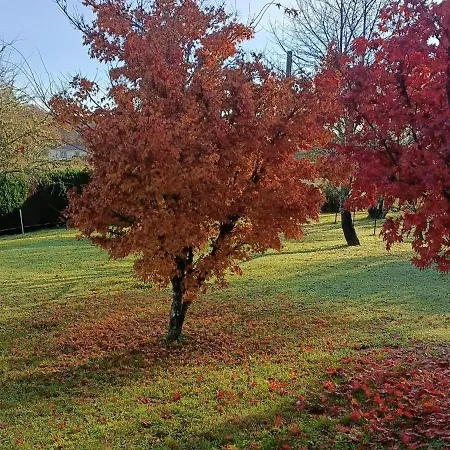 Au Doux Repos فندق مبيت وإفطار 3*